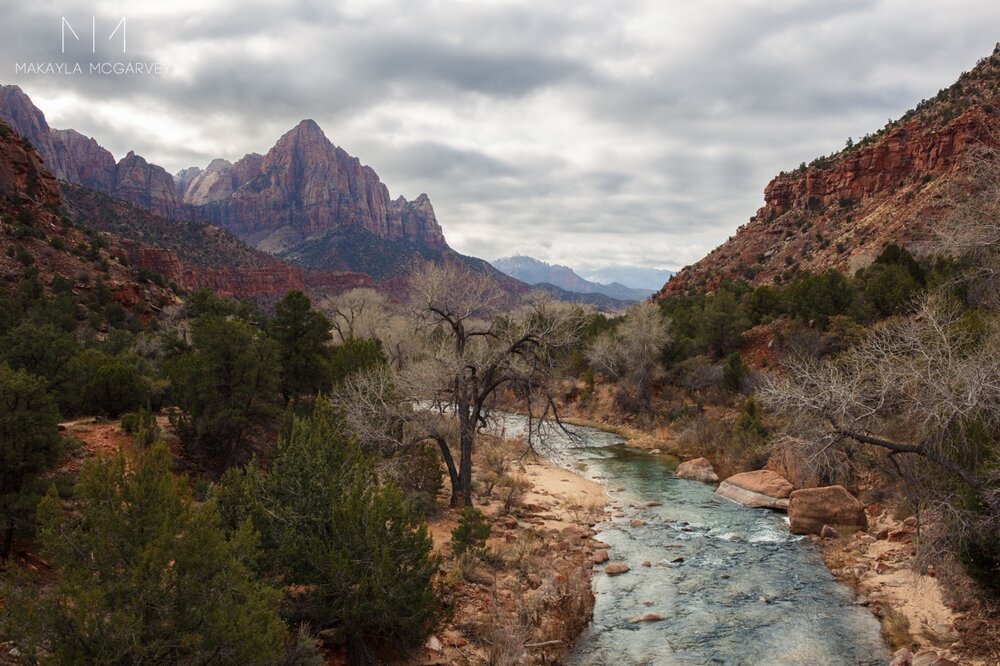 Zion-national-park 17.jpg