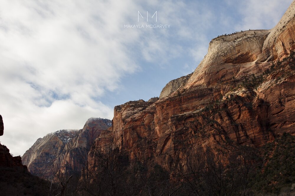 Zion-national-park 19.jpg