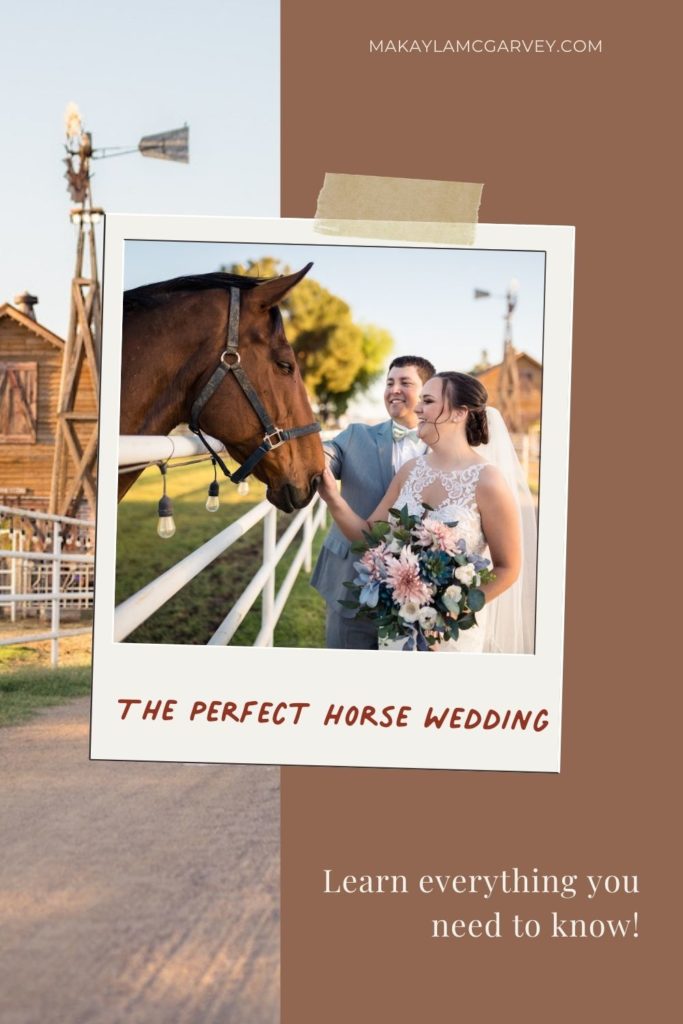 An image of a bride and groom petting a horse during their wedding overlaid with text that reads The Perfect Horse Wedding, Learn everything you need to know!