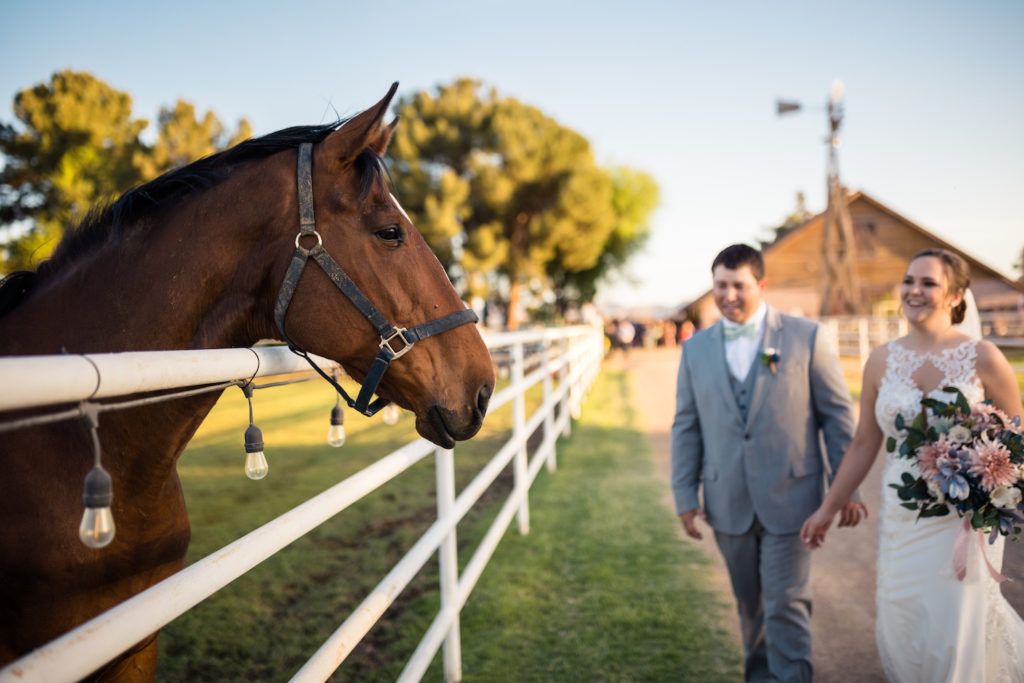 A bride and groom hold hands while walking up to pet a horse.