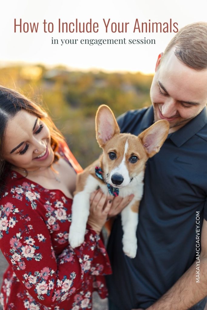 Couple holding their dog together and smiling at their adorable pet as it looks at the camera; image overlaid with text that reads How to Include Your Animals in Your Engagement Session