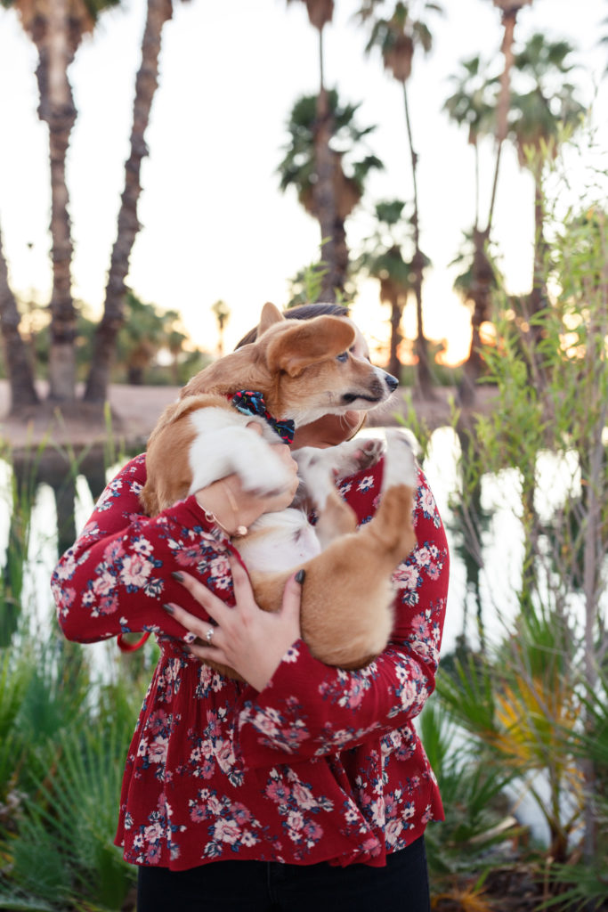 Puppy struggling in the arms of its owner during an engagement shoot