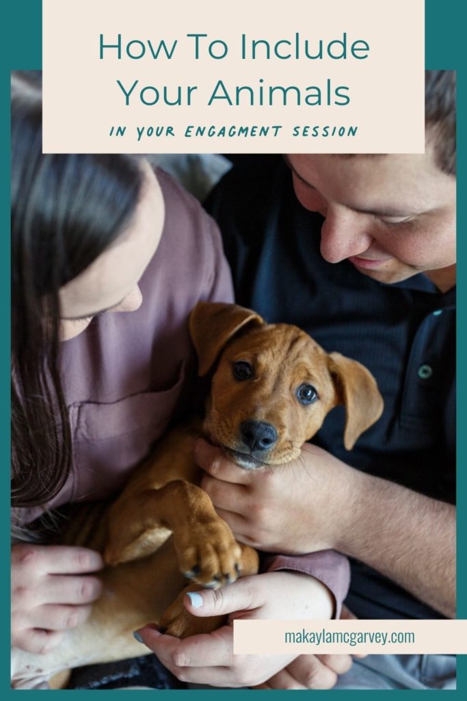 Close-up photo of engaged couple cuddling their dog; image overlaid with text that reads How to Include your Animals in Your Engagement Session