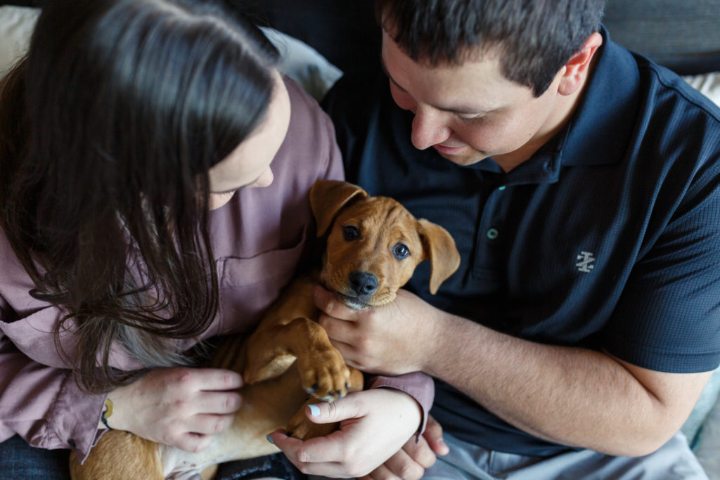 Close-up shot of couple cuddling their cute puppy as it looks adorably at the camera, taken by Makayla McGarvey