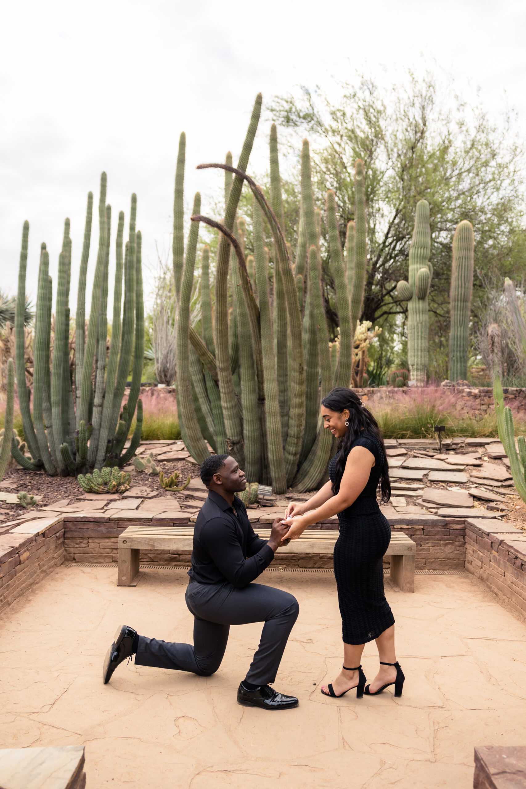 proposal at Phoenix botanical garden